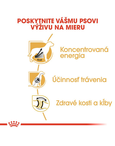 ROYAL CANIN Great Dane Adult 12 kg granule pre nemeckú dogu