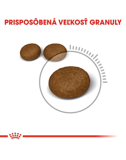 ROYAL CANIN Hair And Skin Care 400g granule pre mačky pre zdravú kožu a srsť