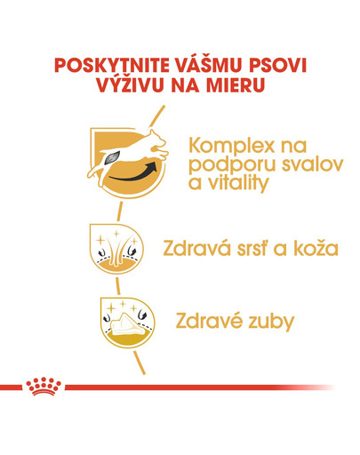 ROYAL CANIN Jack Russell Adult 1,5kg granule pre dospelého jack russell teriéra