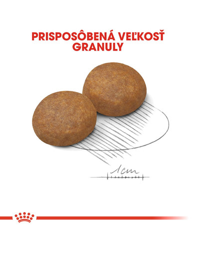 ROYAL CANIN Maxi Adult 5+ 15kg granule pre dospelé starnúce veľké psy