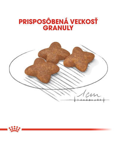 ROYAL CANIN Mini Adult 2kg