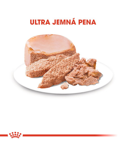 ROYAL CANIN Starter Mousse 195g konzerva pre brezivé alebo dojčace suky a šteňatá