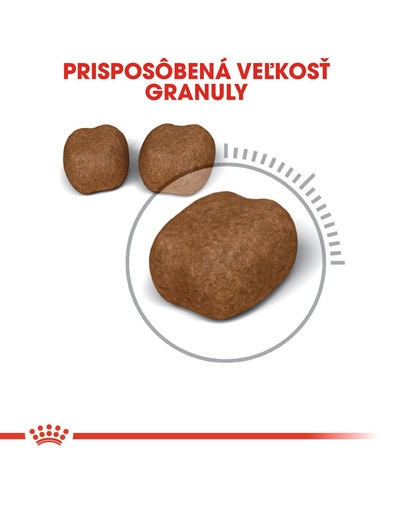 ROYAL CANIN Oral Care 0.4 kg granule pre mačky znižujúce tvorbu zubného kameňa