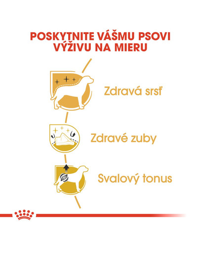 ROYAL CANIN Poodle Adult 1.5 kg granule pre dospelého pudla