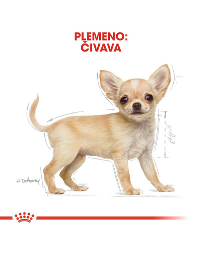 ROYAL CANIN Chihuahua puppy 1.5 kg