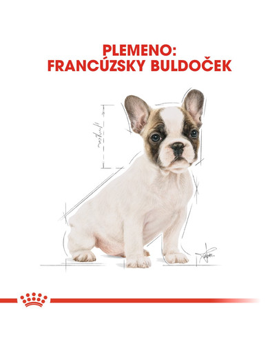 ROYAL CANIN French Bulldog Puppy 10kg granule pre šteňa francúzskeho buldočka