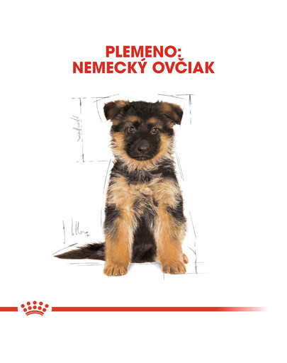 ROYAL CANIN German Shepherd Puppy 3 kg