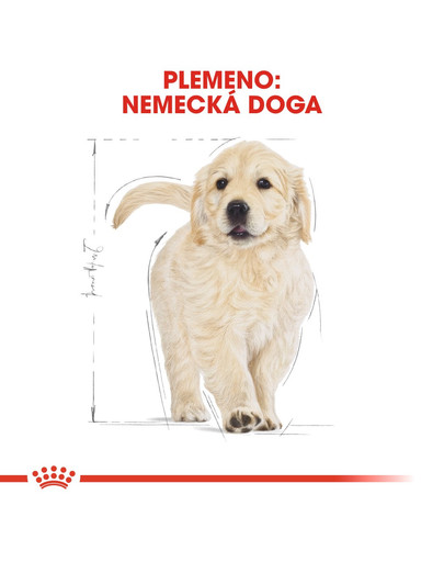 ROYAL CANIN Golden Retriever Puppy 3 kg granule pre šteňa zlatého retrievera