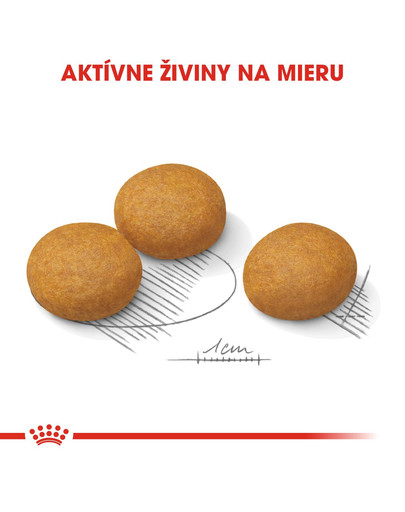 Maxi Dermacomfort 12 kg granule pre veľké psy s problémami s kožou a srsťou