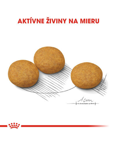 ROYAL CANIN Medium Dermacomfort 10 kg granule pre stredné psy s problémami s kožou a srsťou