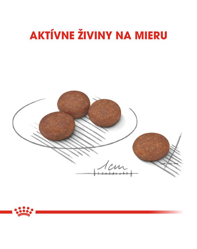 ROYAL CANIN Medium Digestive Care 3 kg granule pre stredných psov s citlivým trávením