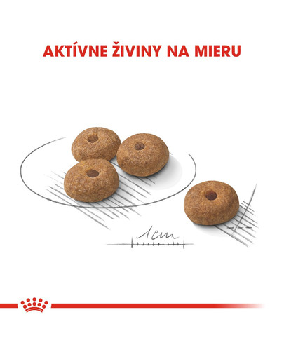 ROYAL CANIN Mini Sterilised 8kg granule pre kastrované malé psy