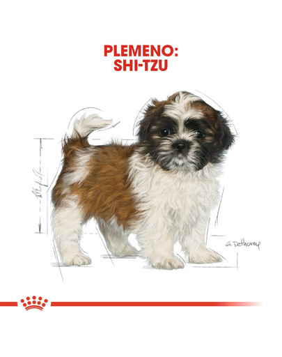 ROYAL CANIN Shih tzu Puppy 1,5 granule pre šteňa shih tzu
