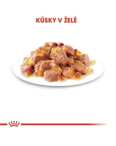 ROYAL CANIN Ultra Light Jelly 85g kapsička pre mačky s nadváhou v želé