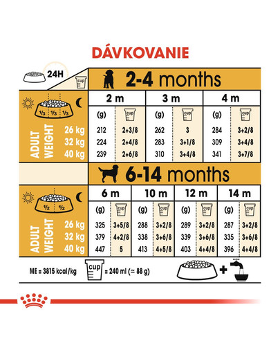 ROYAL CANIN Labrador Puppy 12 kg granule pre šteňa labradora