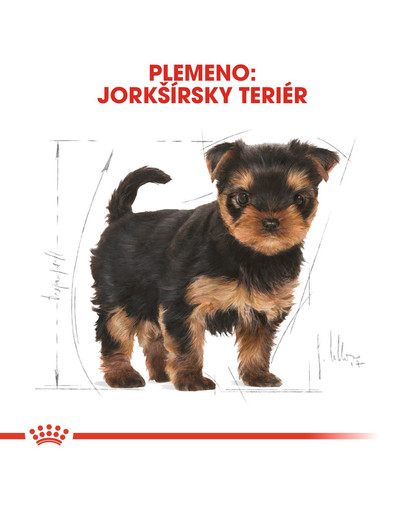 ROYAL CANIN Yorkshire Puppy 500g granule pre šteňa jorkšíra