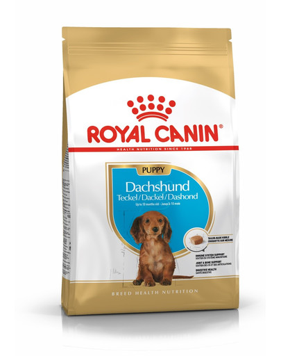 ROYAL CANIN Dachshund Puppy 1,5 kg granule pre šteňa jazvečíka