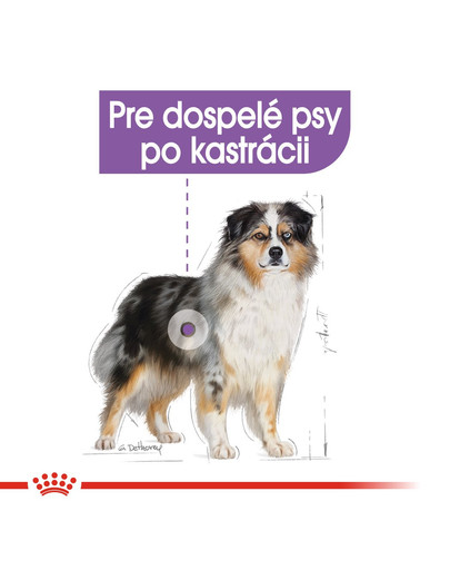 ROYAL CANIN Medium Sterilised 3 kg granule pre kastrované stredné psy