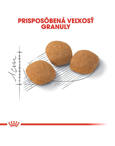 ROYAL CANIN Protein Exigent 10kg granule pre maškrtné mačky