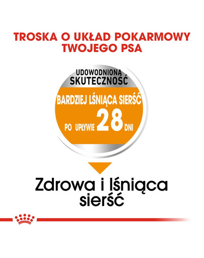 ROYAL CANIN Mini coat care 3 kg