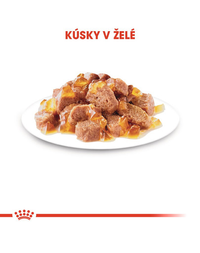 ROYAL CANIN Hair&Skin 85g 12 x 85g krmivo v omáčke pre dospelé mačky