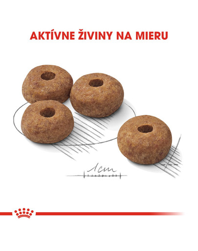 ROYAL CANIN Medium Sterilised 3 kg granule pre kastrované stredné psy