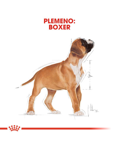 ROYAL CANIN Boxer Puppy 12 kg granule pre šteňa boxera