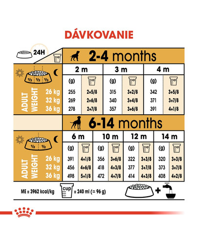 ROYAL CANIN Boxer Puppy 12 kg granule pre šteňa boxera