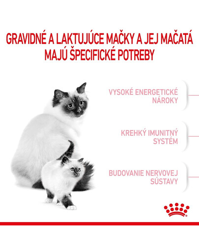ROYAL CANIN Mother&Babycat granule pre gravidné alebo dojčiace mačky a mačiatka od 1 do 4 mesiacov 4 kg