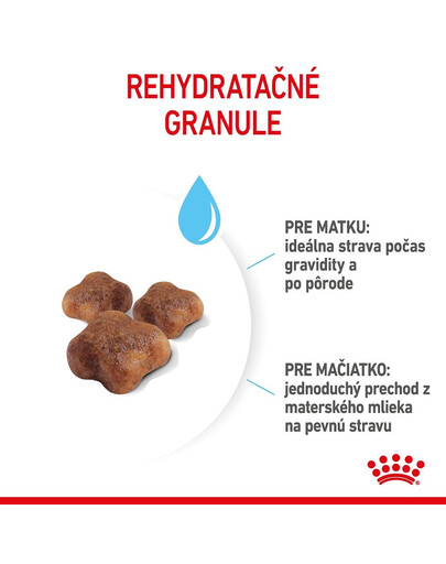 ROYAL CANIN Mother&Babycat granule pre gravidné alebo dojčiace mačky a mačiatka od 1 do 4 mesiacov 2 kg