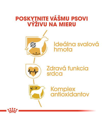 ROYAL CANIN Boxer Adult 12kg granule pre dospelého boxera