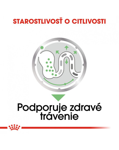 ROYAL CANIN Digestive Care Dog Loaf 85g x12