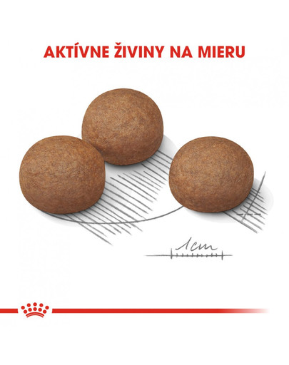 ROYAL CANIN Maxi Digestive Care 10kg granule pre dospelých psov, veľké plemená s citlivým zažívacím traktom