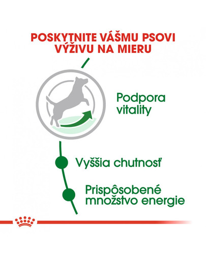 ROYAL CANIN Mini Adult 8+ 8kg granuly pre dospelé starnúce psy