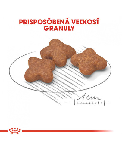 ROYAL CANIN Mini Adult 8+ 8kg granuly pre dospelé starnúce psy