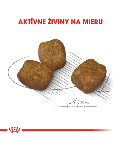 ROYAL CANIN Mini dental care 1 kg granuly pre psy znižujúce tvorbu zubného kameňa