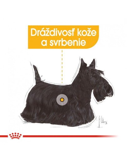 ROYAL CANIN Mini dermacomfort 8 kg