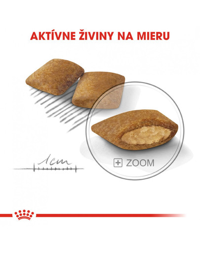 ROYAL CANIN Mini exigent 3 kg granuly pre maškrtné malé psy