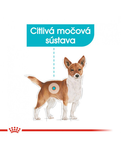 ROYAL CANIN Mini urinary care 3 kg granuly pre psy s obličkovými problémami.