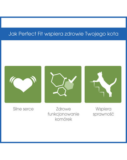 PERFECT FIT Mature 7 + bohatý na kuracie mäso 750g