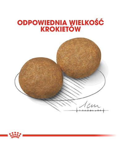 ROYAL CANIN Medium adult 15+3 kg GRATIS