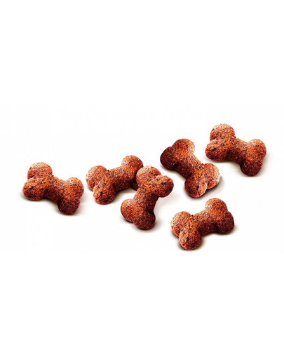 CARNILOVE Dog Crunchy Snack Ostrich&Blackberries 200g