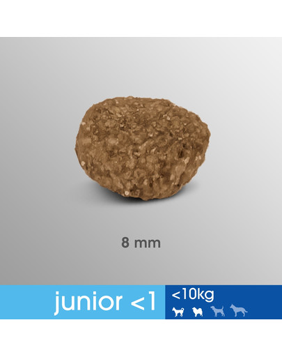 PERFECT FIT Junior (1+ rok) Pre malé rasy - Bohatý na kuracie mäso 5 x 825g