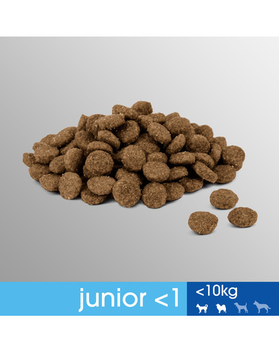 PERFECT FIT Junior (1+ rok) Pre malé rasy - Bohatý na kuracie mäso 5 x 825g
