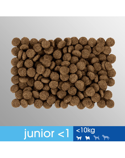 PERFECT FIT Junior (1+ rok) Pre malé rasy - Bohatý na kuracie mäso 5 x 825g