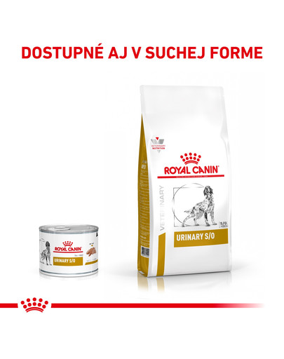 ROYAL CANIN Dog urinary S / O 200 g