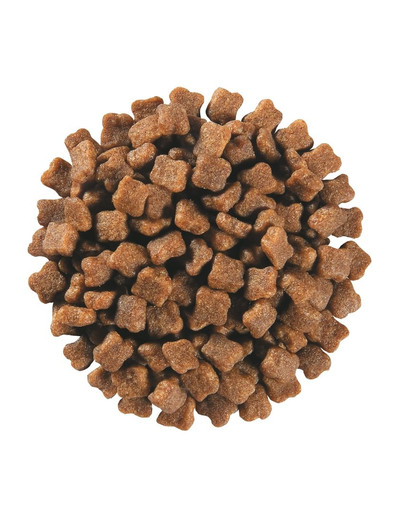 Royal Canin Veterinary Care Cat Pediatric Weaning 2 kg