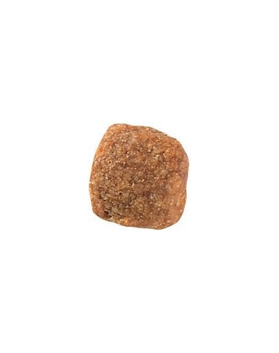 ROYAL CANIN Veterinary Health Nutrition Cat Gastrointestinal Hairball 400g