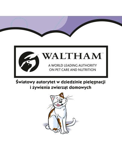 Dreamies s kačicou 0.06 kg x6