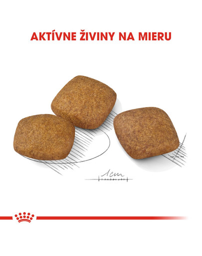 ROYAL CANIN Maxi Relax Care  3 kg